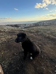 Hi Reader! I am looking for a room/studio (preferably) for myself (28 years  old woman, employed full time, single, and a cat lover) in Amsterdam. My  budget is 800 EUR. If you