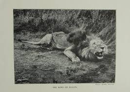 The Story Of An Outing