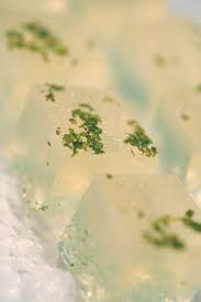 Mojito Jell O Shots With White Rum And Fresh Mint Recipe Recipe Jelly Shots Shot Recipes Mojito Jello Shots