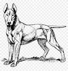 Free Free 198 Staffordshire Bull Terrier Svg SVG PNG EPS DXF File