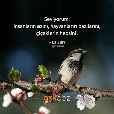 Sozler Anlamlisozler Guzelsozler Manalisozler Ozlusozler Alinti Alintilar Alintidir Alintisozler Siir Edebiyat Ozlu Sozler Alintilar Alinti Sozler