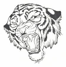 Roaring Tiger Tiger Head Tattoo Coloring Pages Animal Drawings