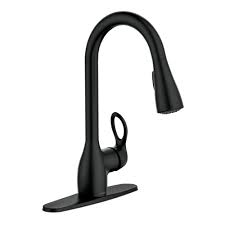 moen kleo single handle pull down