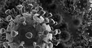 It is far easier for the proverbial camel to pass through the needle's eye, hump and all, than for an erstwhile colonial. Coronavirus An Islamic Perspective Islam21c