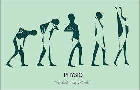 Physiotherapy Banner On Behance Logotipo Da Massagem Cartao Fisioterapia Fisioterapia Logomarca