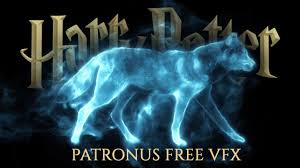 Wolf Patronus - Limited Edition - T-Shirt | Teezily