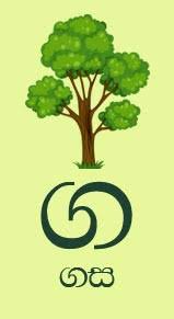 Learning letters can be challenging for preschool children, which is why we've created a range of activities that will make learning a . Sinhala Alphabet With Pictures Free Download 12 Letters Sigma Kids