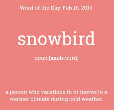 Snowbird Old English Words Winter Words Cool Words
