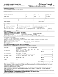Wells Fargo Business Loan Application Pdf Fill Online Printable Fillable Blank Pdffiller