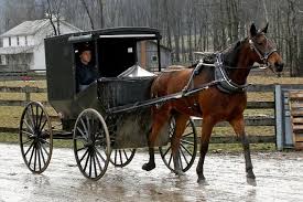Pizzeria, fish fry on fridays, 46 flavors of perry's ice cream, hot dogs, hamburgers & more! Niagara Falls Usa Amish Heritage Tour 2021