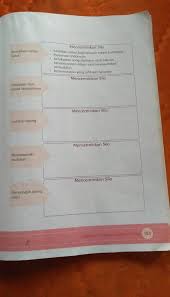 Terima kasih sudah membaca artikel ini, semoga kunci jawaban tematik kelas 5 tema 1 subtema 3 pembelajaran 3 ini dapat memberikan manfaat bagi para pembaca di. Jawaban Tema 1 Hal 153 Kelas 5 Brainly Co Id