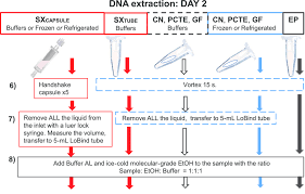 Flow Chart Illustrating The Modified Environmental Dna Edna