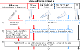 flow chart illustrating the modified environmental dna edna