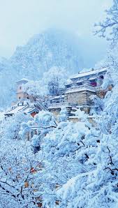 春日上嵩山！感受治愈系少林禅文化和36亿年地球史- 中国日报网