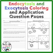 Endocytosis And Exocytosis Coloring Page And Application Questions Biology Classroom High School Biology Class Cell Processes