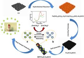 Antibiotik ini digunakan dalam pengobatan infeksi sistemik. Electrochemical Assay Of Ampicillin Using Fe 3 N Co 2 N Nanoarray Coated With Molecularly Imprinted Polymer Springerlink