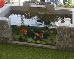Kolam ikan minimalis untuk koi high class. Modal Rp800 Ribuan Bikin Kolam Ikan Minimalis Hasilnya Mewah Rumah123 Com