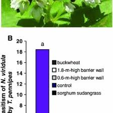 George utah makes the survival of many bugs and pests easy. Pdf Physical Barriers For Suppression Of Movement Of Adult Stink Bugs Into Cotton