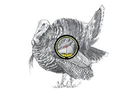 Where To Shoot A Turkey With A Bow Turkey Hunting Waterfowl Hunting Bird Hunting