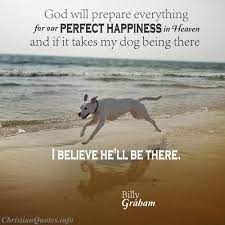 Doggy Heaven Quotes Quotesgram