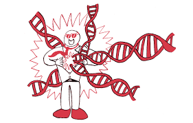 Brand Dna Brand Strategy Stepworks