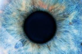 Image result for Pupil
