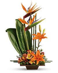 We did not find results for: Birthday Flowers For Him Mens Birthday Gifts Ideas Teleflora