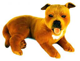 Pin On Staffordshire Bull Terrier