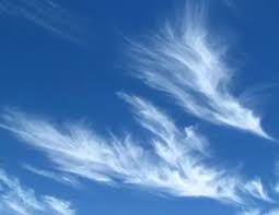 Check spelling or type a new query. What Type Of Cloud Is A Stratus Cloud Quora