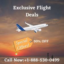 Cheap Flights To Orlando Florida 1 888 530 0499 In 2020 Airline Booking Book Flight Tickets Airline Reservations