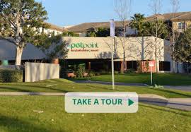 Pets best will operate under synchrony's carecredit platform which offers health, wellness. Petpoint Medical Center Resort Pet Point Medical Center And Resort