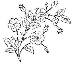 Black And White Images Of Flowers Clip Art Free Vintage Images Vintage Clip Art Black And White Floral Images Flower Line Drawings Clip Art Vintage White Flower Clip