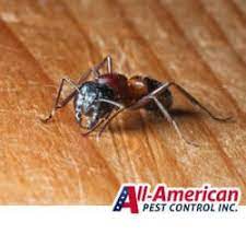 And for that reason we expect our customer retention rates to be very high. Nashville Pest Control Pros Discuss Carpenter Ants