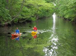 A Nice Easy Passage Through Assawoman Canal Cape Gazette