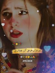 Song Sindhi Bewafa Song