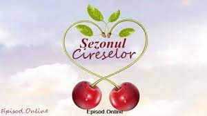 Player netu cu subtitrare in romana. Filmeseriale2016 Sezonul Cireselor Episodul 8 Online Subtitrat
