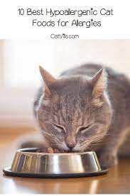 What Is The 10 Best Hypoallergenic Cat Food For Allergies Hypoallergenic Cat Food Hypoallergenic Cats Cat Food