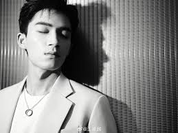 Tiểu sử Vương Tinh Việt