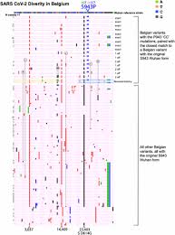 Share the best gifs now >>>. Spike Mutation Pipeline Reveals The Emergence Of A More Transmissible Form Of Sars Cov 2 Biorxiv