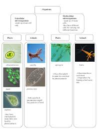 Syllabus scheme for part i and part ii is separately presented. Science Kssm Pt3 Spm Science Form 1