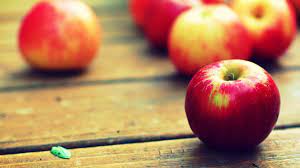 526 fruit hd wallpapers and background images. Apple Fruit Wallpapers Top Free Apple Fruit Backgrounds Wallpaperaccess