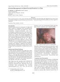 Pdf Clinical Management Of Moist Scrotal Eczema In A Dog