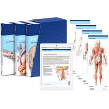 Thieme atlas of anatomy www.thieme.com(c) 2008 thieme publishing group. Prometheus Lernpaket Anatomie Fachbucher Fachbucher Digitale Produkte Lehre Doccheck Shop Dein Medizinbedarf Online