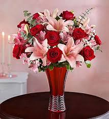Check spelling or type a new query. Pin On Plantas