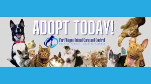 Servicing fort wayne & mishawaka area. Fort Wayne Animal Care Control Home Facebook