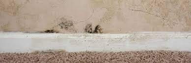 How To Deal With Rising Damp | Axa Insurance