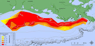 It's the 9th largest body of water in the world. The Gulf Of Mexico S Dead Zone Is The Biggest Ever Seen The Salt Npr