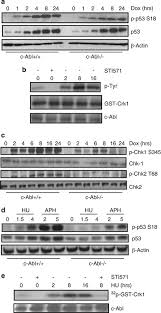 Agency for science, technology and research (a*star). A Positive Role For C Abl In Atm And Atr Activation In Dna Damage Response Cell Death Differentiation