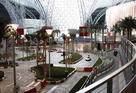 Ferrari world centre abu dhabi. Interior Landscaping For Ferrari World Theme Park Treescapes Plantworks