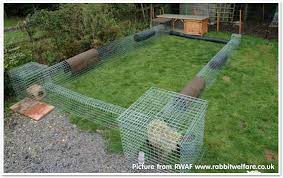 Here are the best rabbit toys you can buy. Rabbit Run Attached To Hutch Off 57 Www Usushimd Com